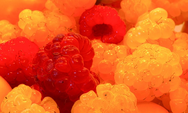 崛起与策略 崛起与策略