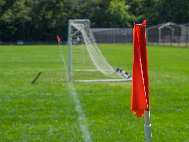 总而言之 总而言之